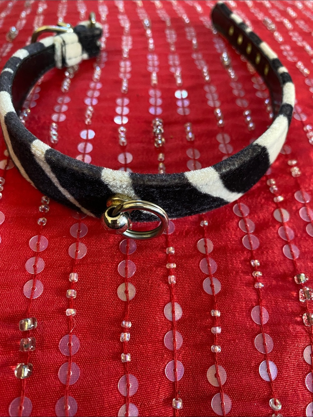 Velvet Animal Print Leather Like Or Leather Interior Adjustable Pet Collar